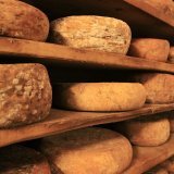 Les vieux fromages